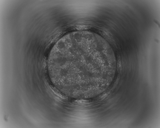 X0000100390367200806271402