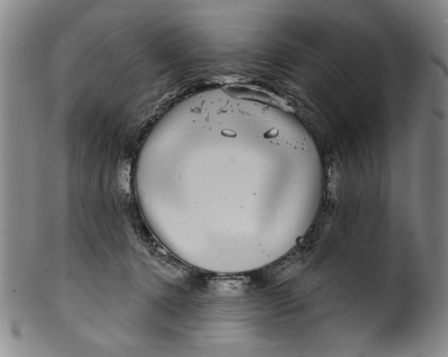 X0000100390368200806271402