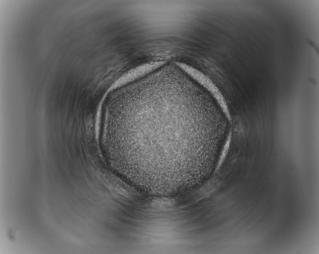 X0000100390369200806271402