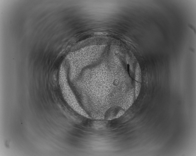 X0000100390373200806271403