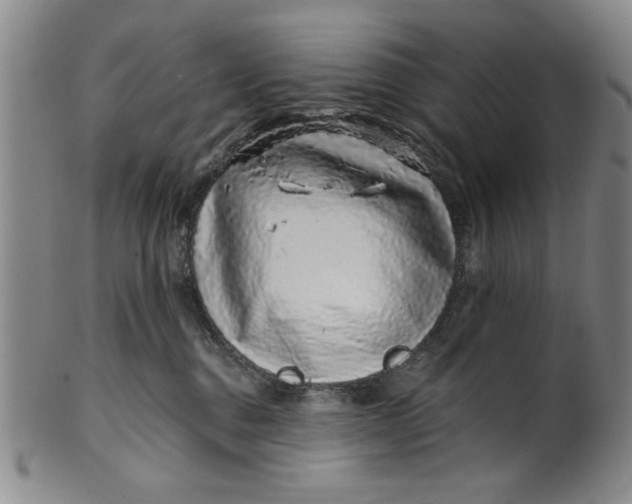 X0000100390376200806271403