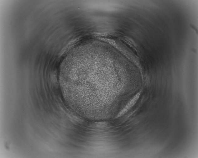 X0000100390377200806271403