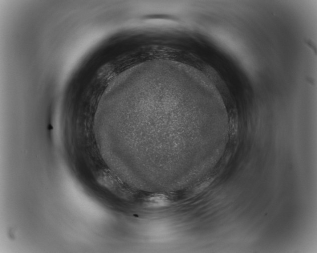 X0000100390381200806271403