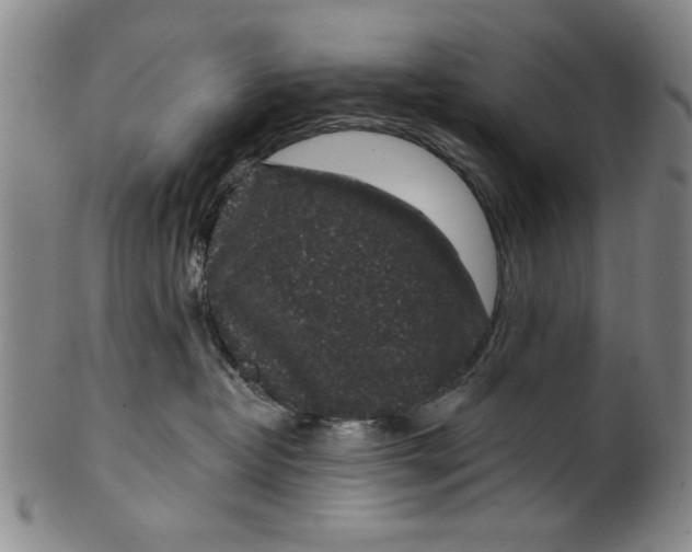 X0000100390382200806271403