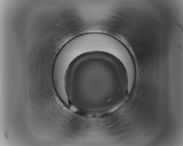 X0000100390385200806271402