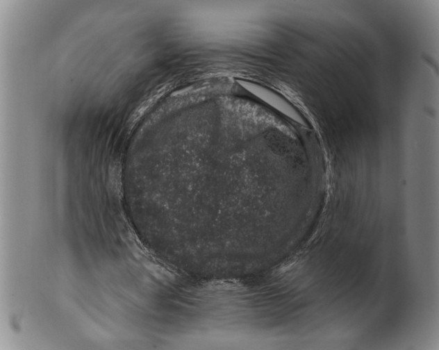 X0000100390386200806271402