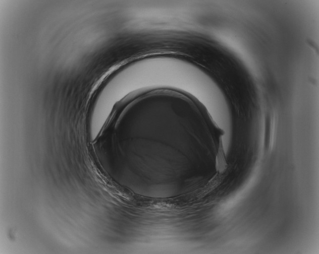 X0000100390387200806271402