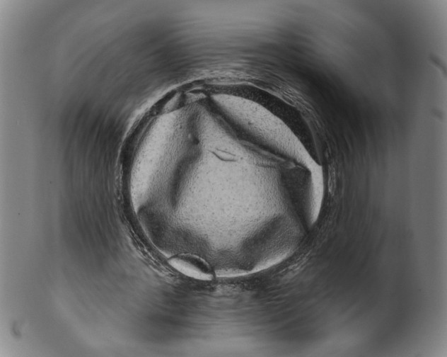 X0000100390388200806271402