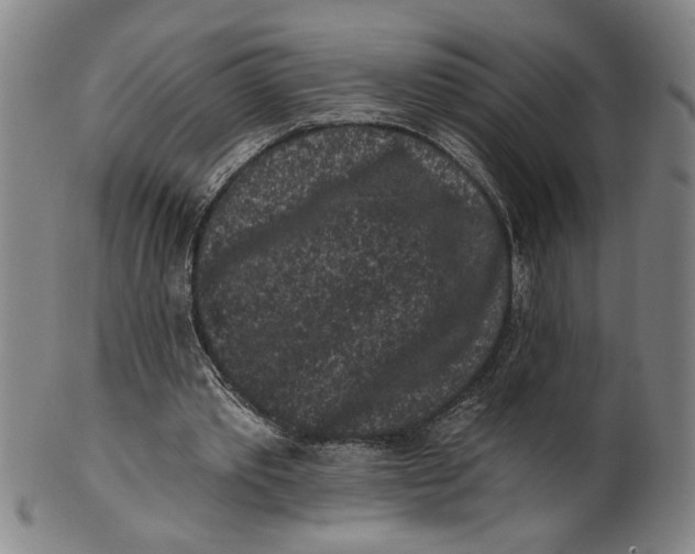 X0000100390389200806271402