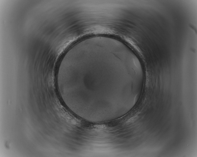 X0000100390391200806271402