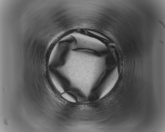 X0000100390392200806271402