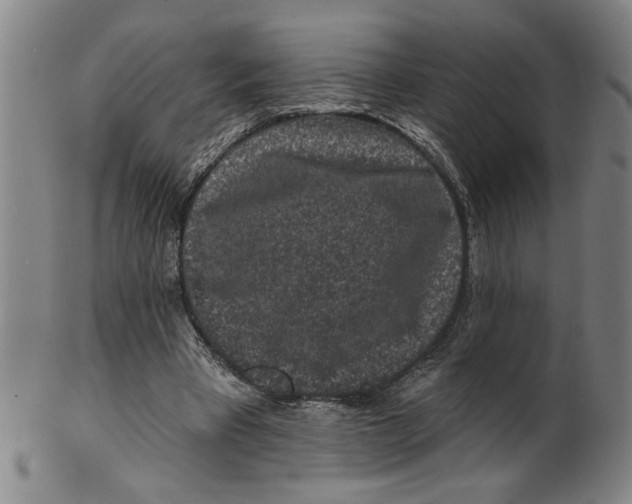 X0000100390393200806271402