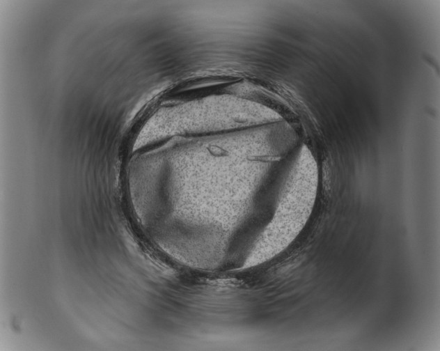 X0000100390396200806271402