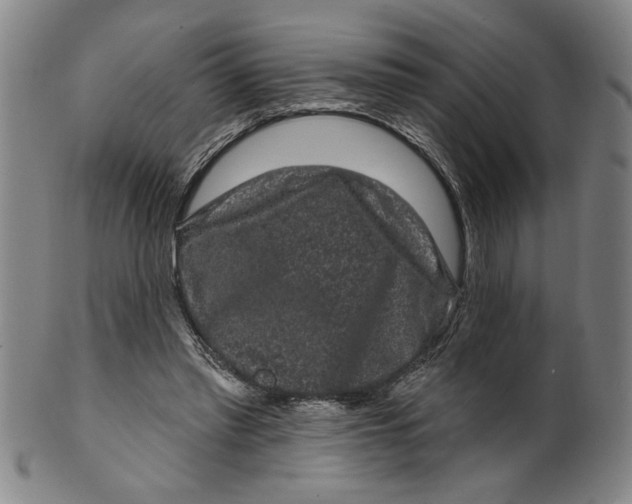 X0000100390397200806271402