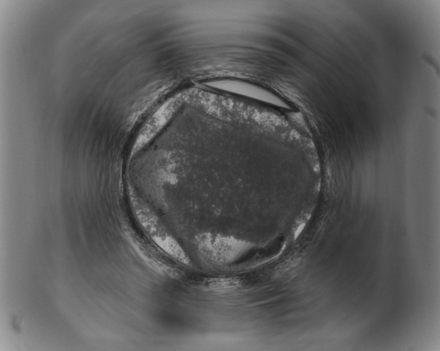 X0000100390398200806271402