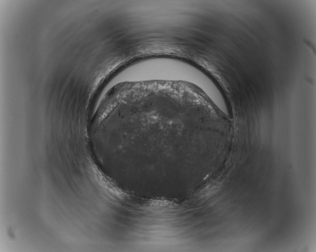 X0000100390399200806271402