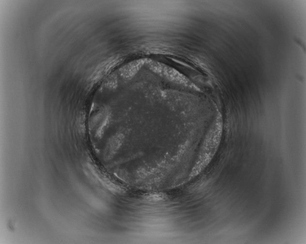 X0000100390402200806271402