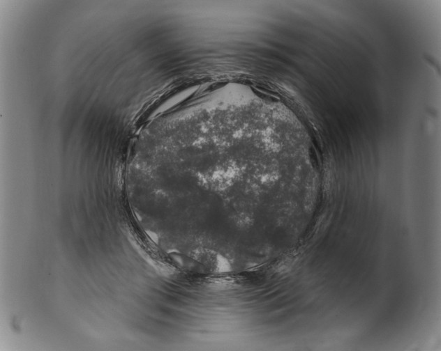 X0000100390405200806271402