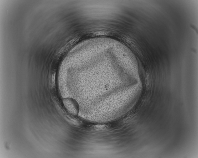 X0000100390406200806271402