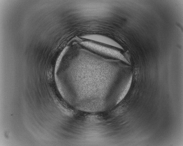 X0000100390408200806271402