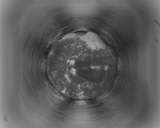 X0000100390409200806271402