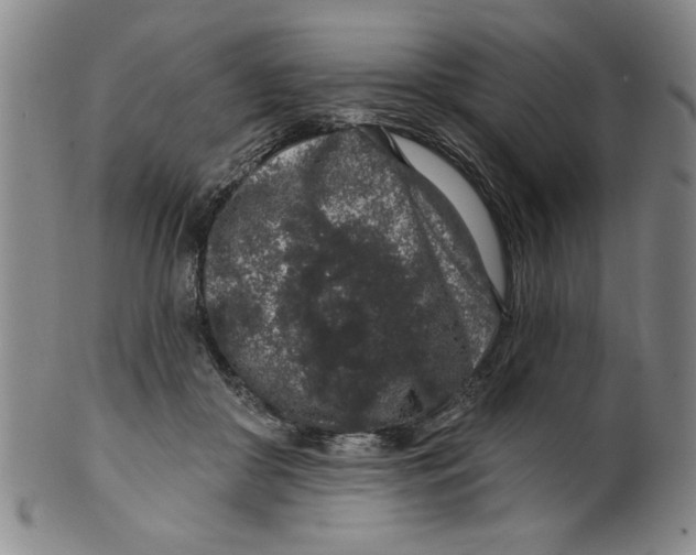 X0000100390410200806271402