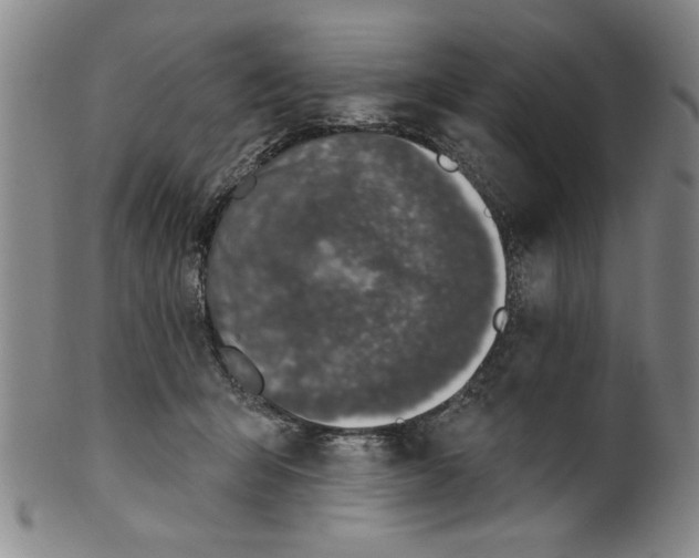 X0000100390415200806271401