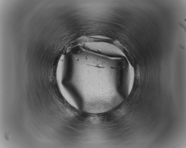 X0000100390416200806271401