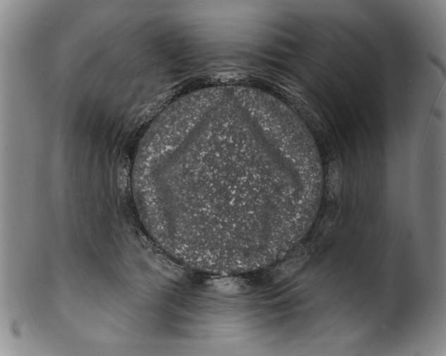 X0000100390417200806271401