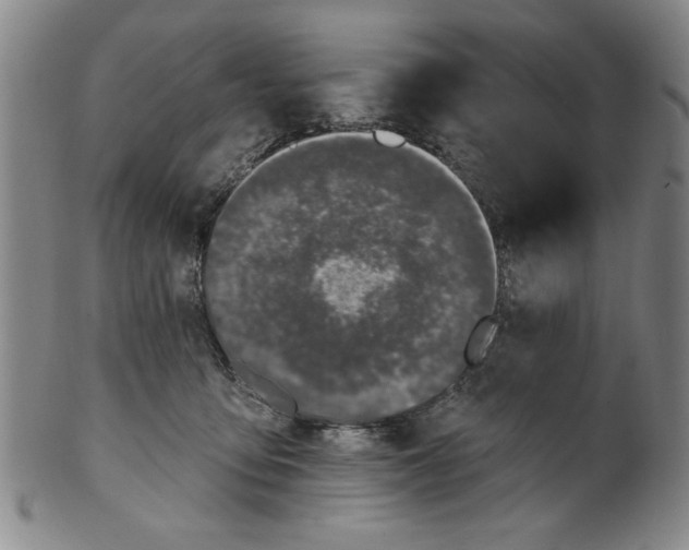 X0000100390419200806271401