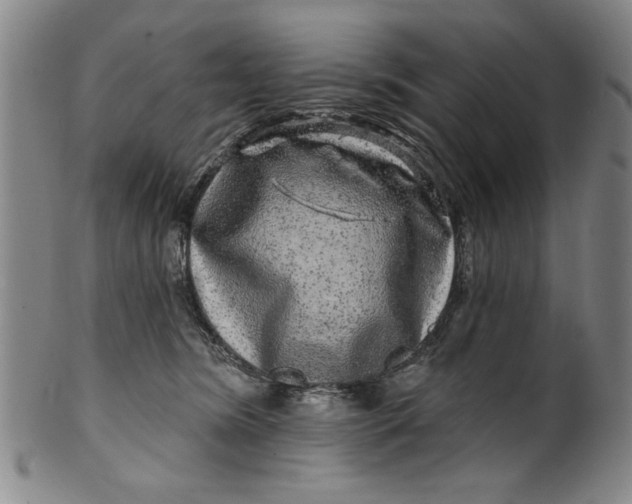 X0000100390420200806271401