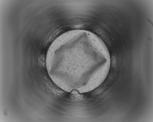 X0000100390421200806271401