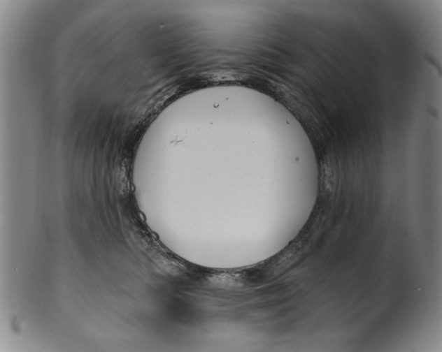 X0000100390422200806271401