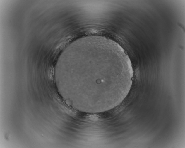 X0000100390423200806271401