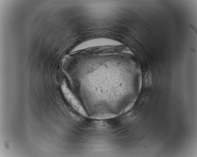 X0000100390424200806271401