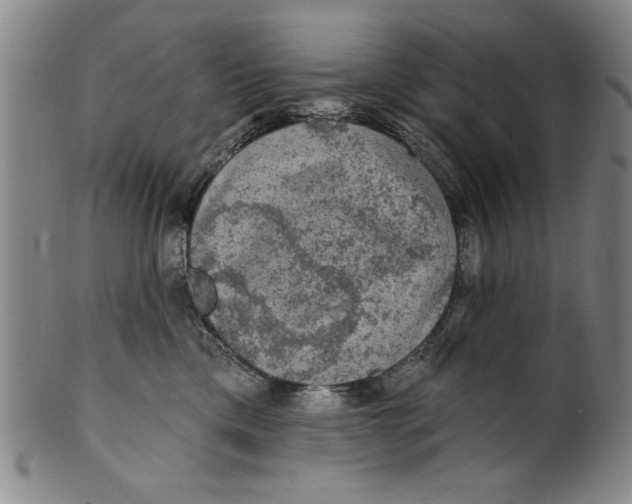 X0000100390425200806271401