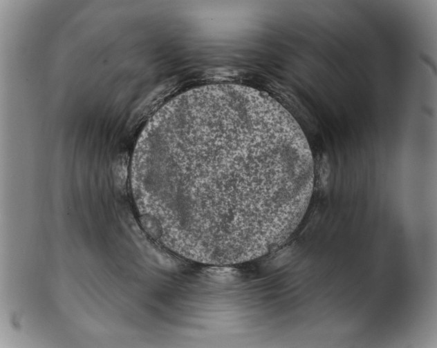 X0000100390427200806271401