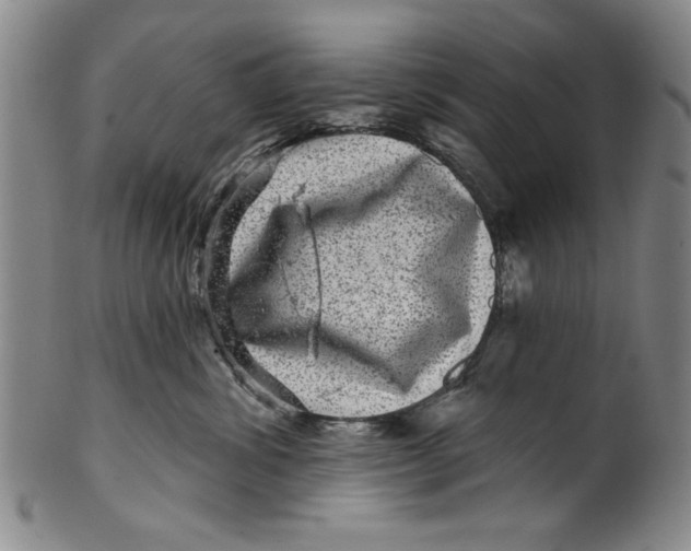 X0000100390428200806271401