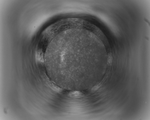 X0000100390431200806271401