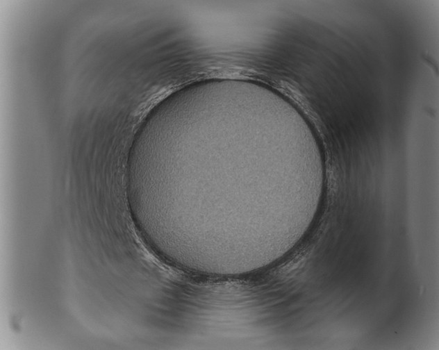 X0000100390433200806271400