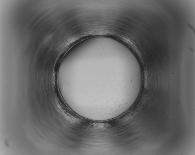 X0000100390439200806271401