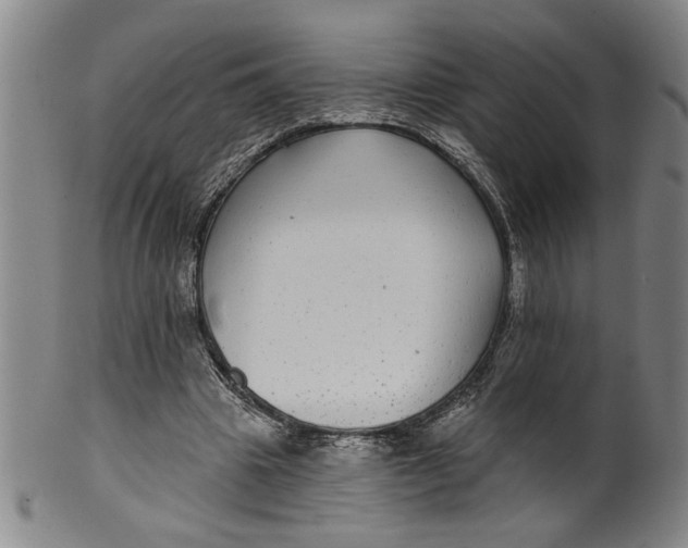 X0000100390441200806271401