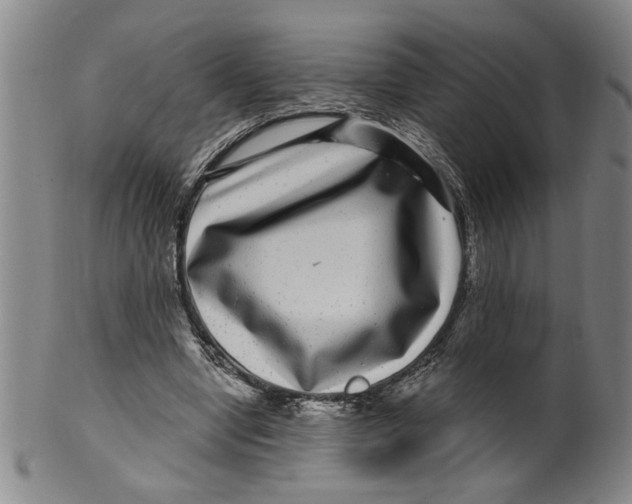 X0000100390442200806271401