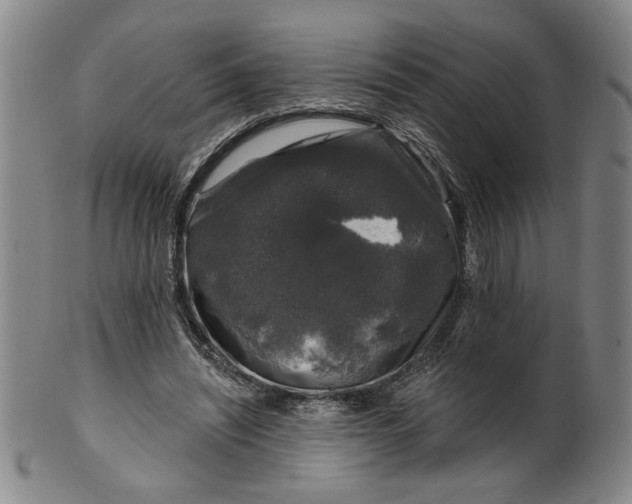 X0000100390444200806271401