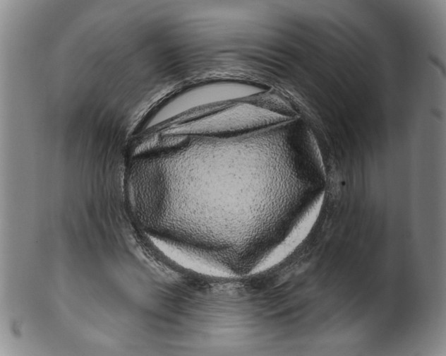 X0000100390446200806271401