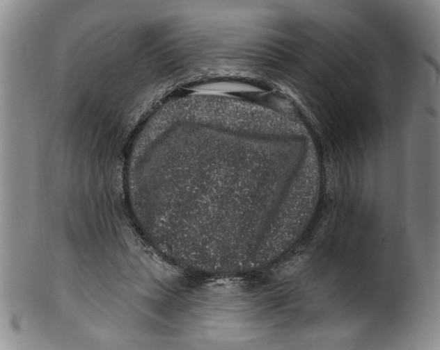 X0000100390447200806271401