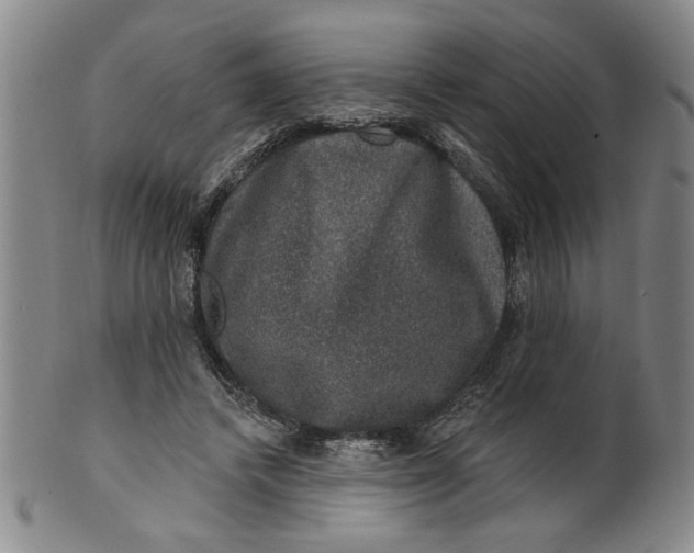 X0000100390448200806271401