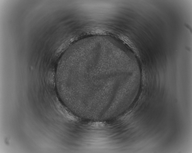 X0000100390449200806271401