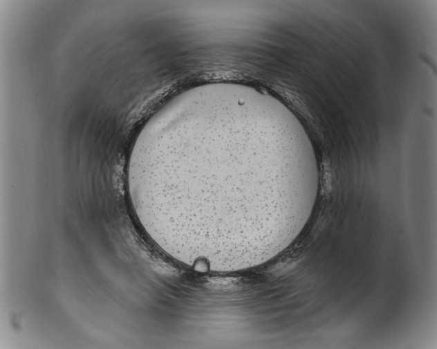 X0000100390450200806271401