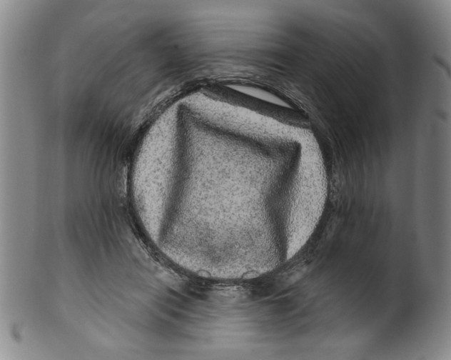 X0000100390454200806271401